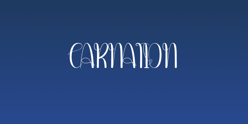 Carnation Social Header