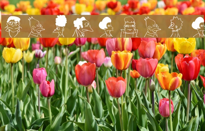 CarneVale Шрифта examples