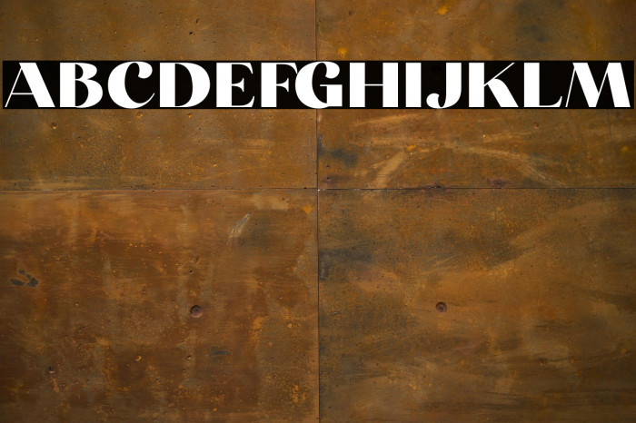 Carneys Gallery Demo Version Example 2