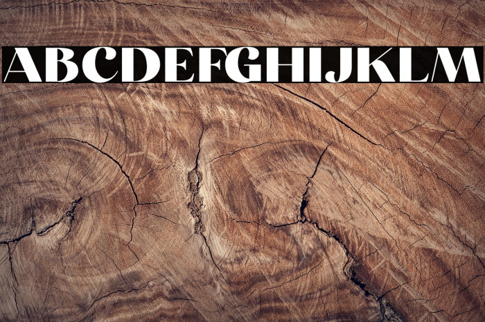 Carneys Gallery Demo Version Example 3