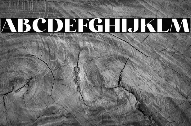 Carneys Gallery Demo Version Font examples