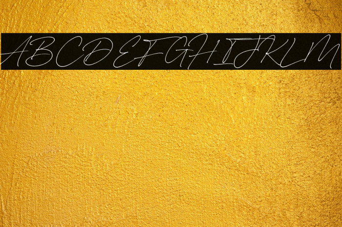 Carneys Gallery Script Demo Ver Example 2