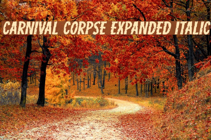 Carnival Corpse Expanded Italic Font examples