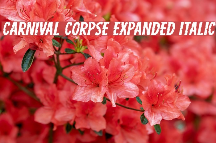 Carnival Corpse Expanded Italic Font examples
