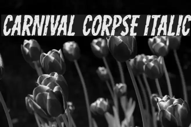 Carnival Corpse Italic Font examples