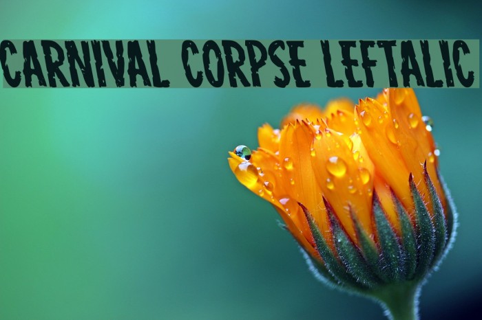 Carnival Corpse Leftalic Font examples