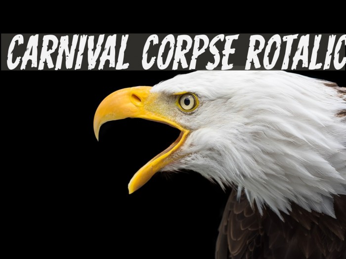 Carnival Corpse Rotalic Font examples