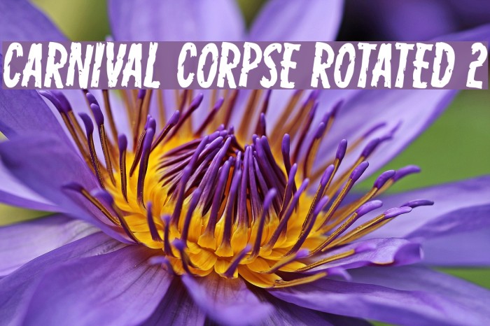Carnival Corpse Rotated 2 Font examples