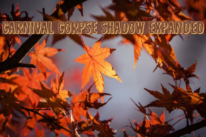 Carnival Corpse Shadow Expanded Font examples