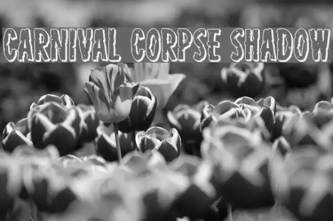 Carnival Corpse Shadow Font examples