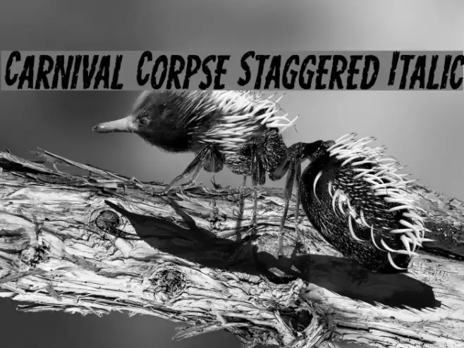 Carnival Corpse Staggered Italic Font examples