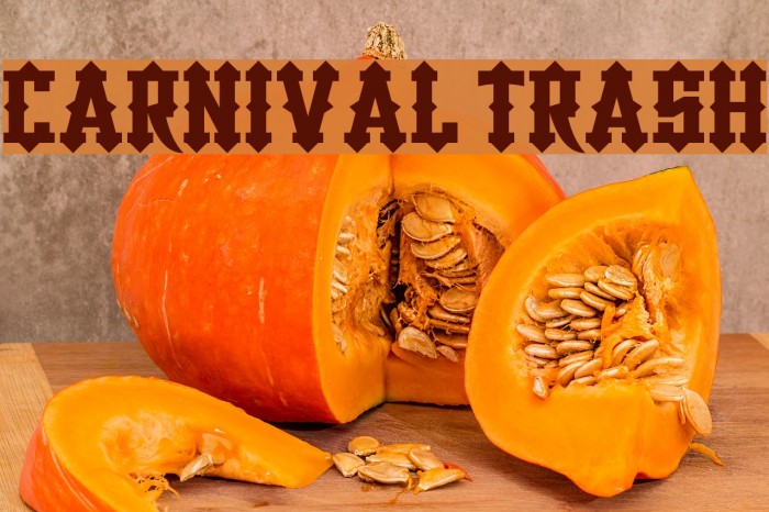 Carnival Trash Font examples