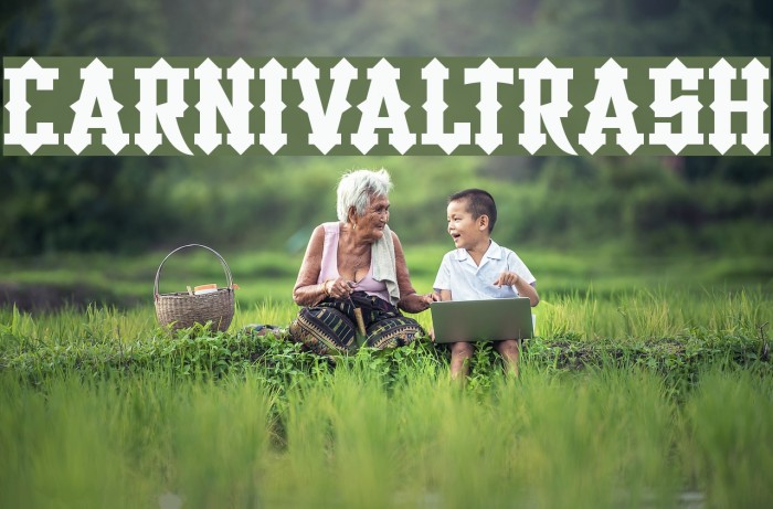 CarnivalTrash Example 1