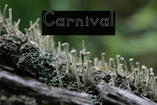 Carnival Example 1