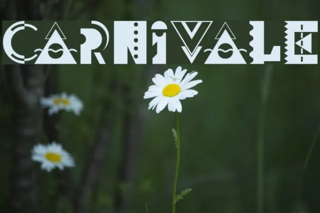 Carnivale Example 2