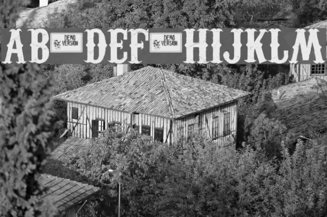 Carnivalee Freakshow Demo Font examples