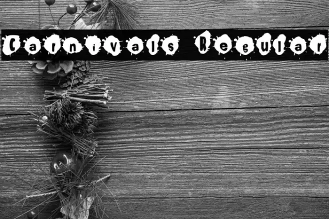 Carnivals Regular Шрифта examples