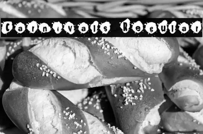 Carnivals Regular Шрифта examples