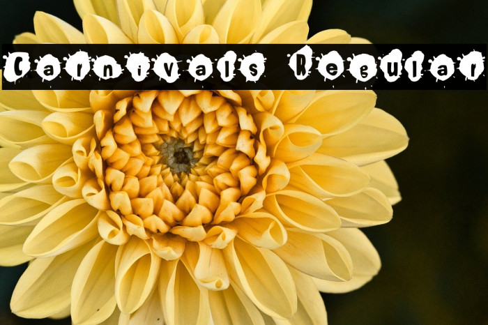 Carnivals Regular Example 3