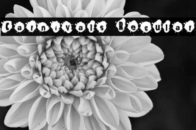 Carnivals Regular Шрифта examples