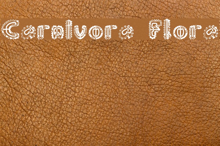 Carnivora Flora Font examples