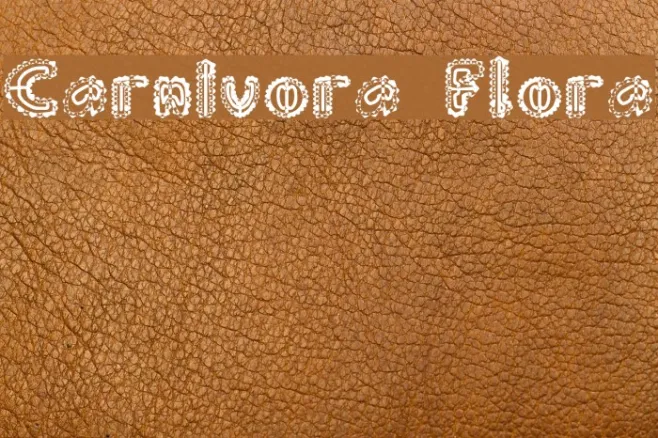 Carnivora Flora Example 1