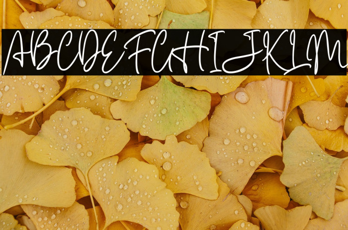 Carnollia Signature Personal Us Example 1