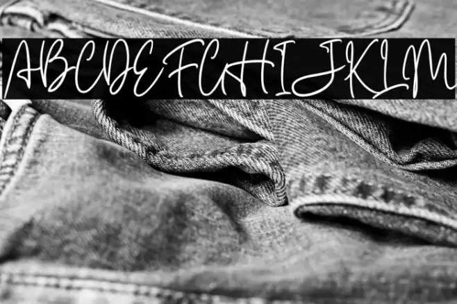 Carnollia Signature Personal Us Font examples