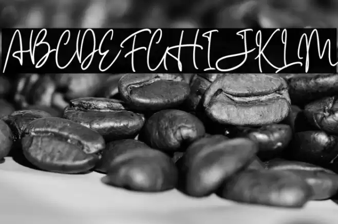 Carnollia Signature Personal Us Font examples