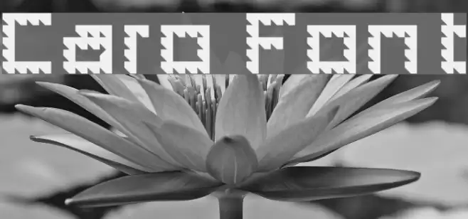 Caro Fonte examples