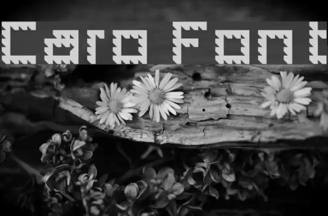 Caro Fonte examples