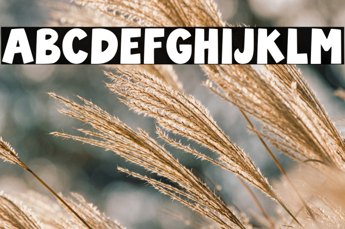 Carol Cheers Regular Example 3