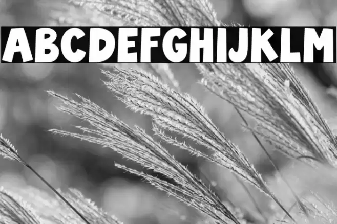 Carol Cheers Regular Schriftart examples