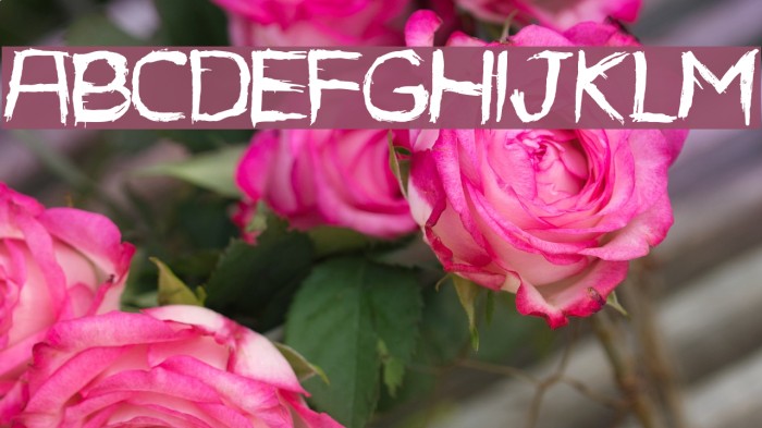 CaroleAlexandre Font examples