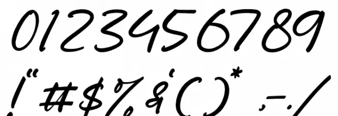 Carolena Narashy Font OTHER CHARS