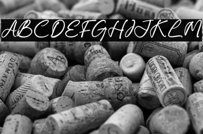 Carolena Narashy Font examples