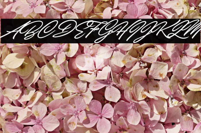 Carolina Hills Personal Use Font examples