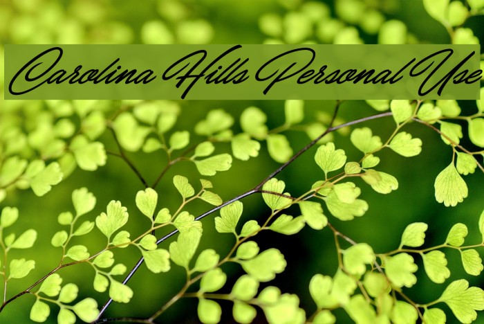 Carolina Hills Personal Use Example 3