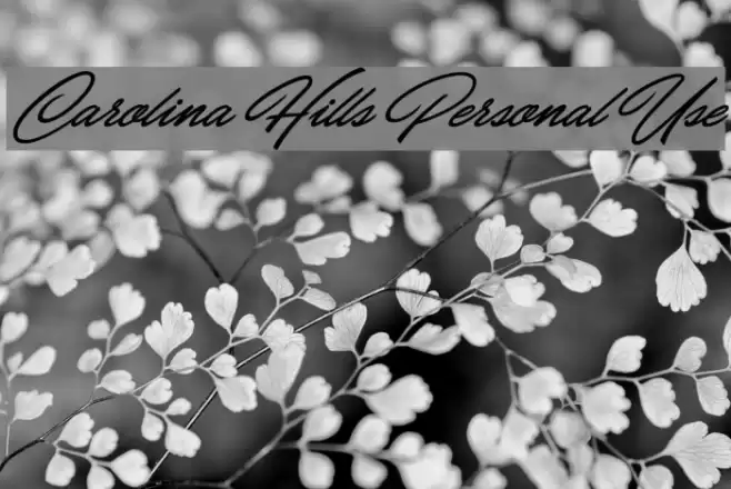 Carolina Hills Personal Use Font examples