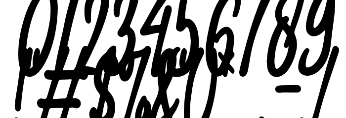 Carolina Signature Font OTHER CHARS