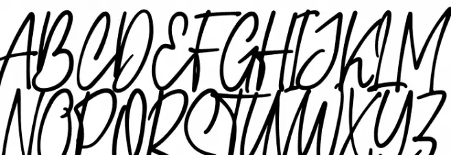 Carolina Signature 字体 大写
