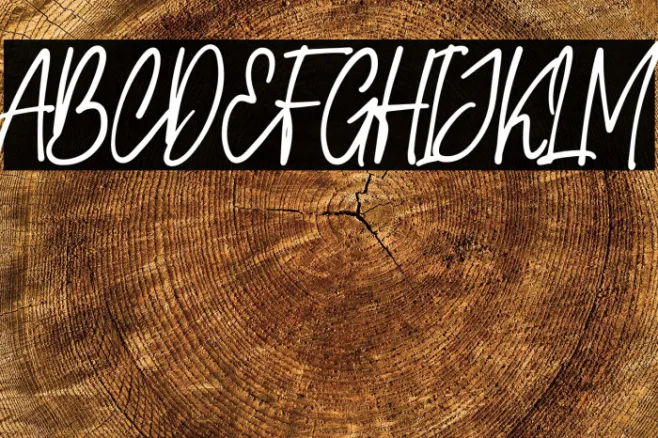 Carolina Signature Example 1