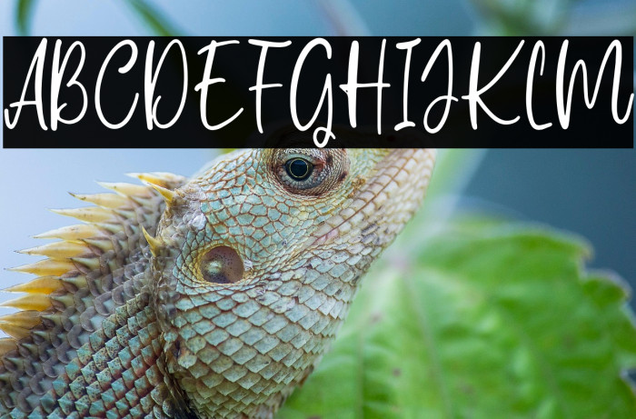 Carolina Smile Example 1