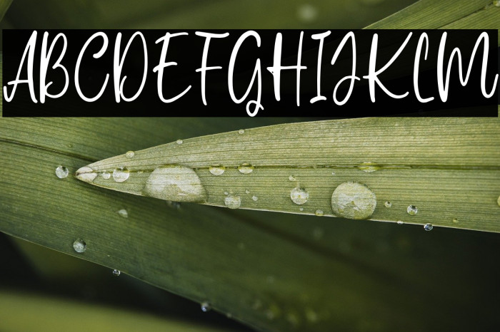 Carolina Smile Example 3