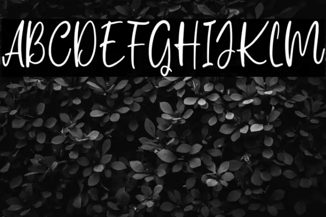 Carolina Smile Font examples