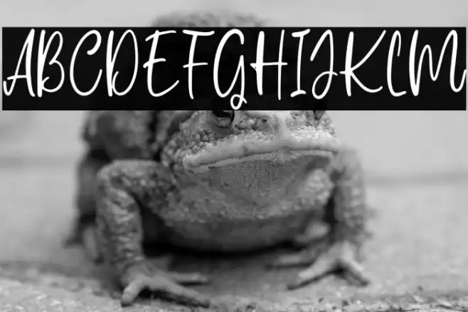 Carolina Smile Font examples