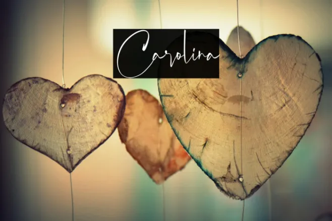 Carolina Example 1