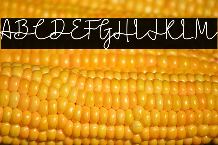 Caroline Bellish Example 3