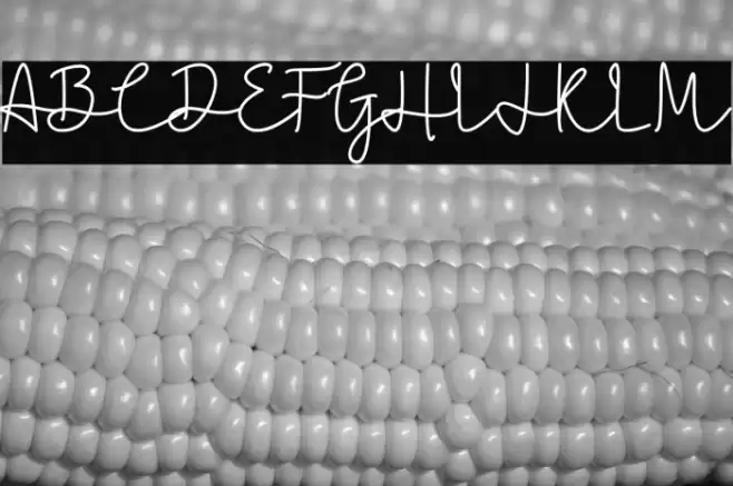 Caroline Bellish Font examples