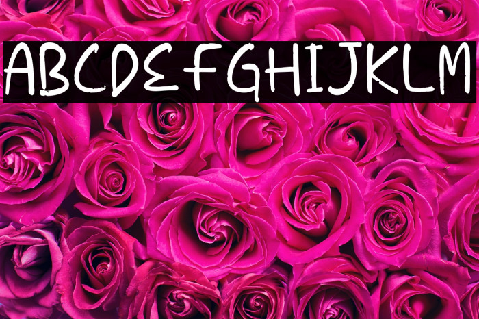 Caroline Display Example 3